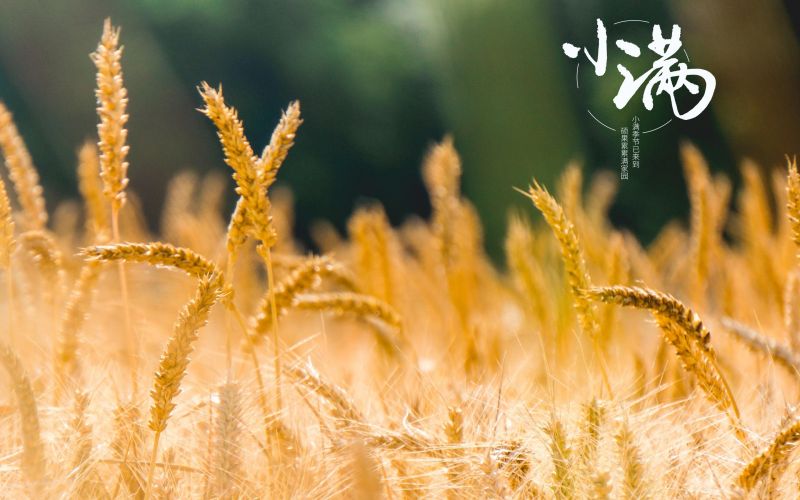 人生小滿勝萬全！